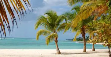 plage de saona en république dominicaine avec palmiers et eau turquoise