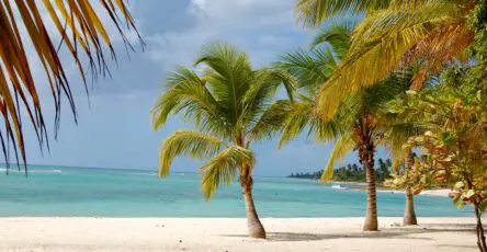 plage de saona en république dominicaine avec palmiers et eau turquoise