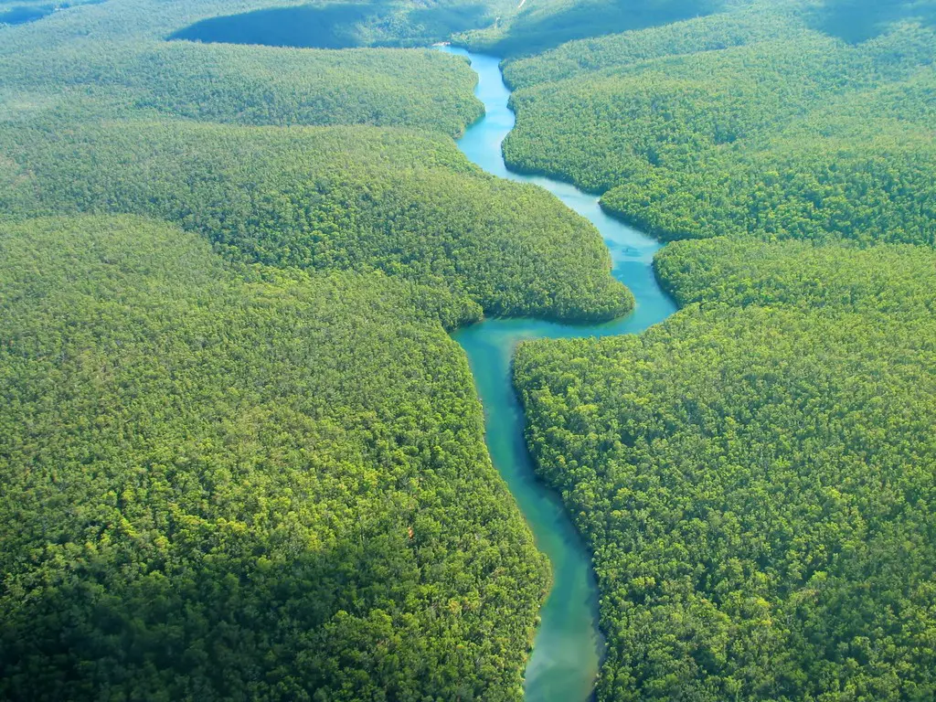 vue aérienne du parc amazonien de guyane avec rivière sinueuse et forêt dense