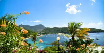 baie tropicale en Martinique avec fleurs oranges, plage et montagnes verdoyantes