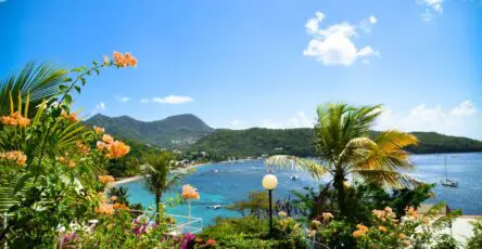 baie tropicale en Martinique avec fleurs oranges, plage et montagnes verdoyantes