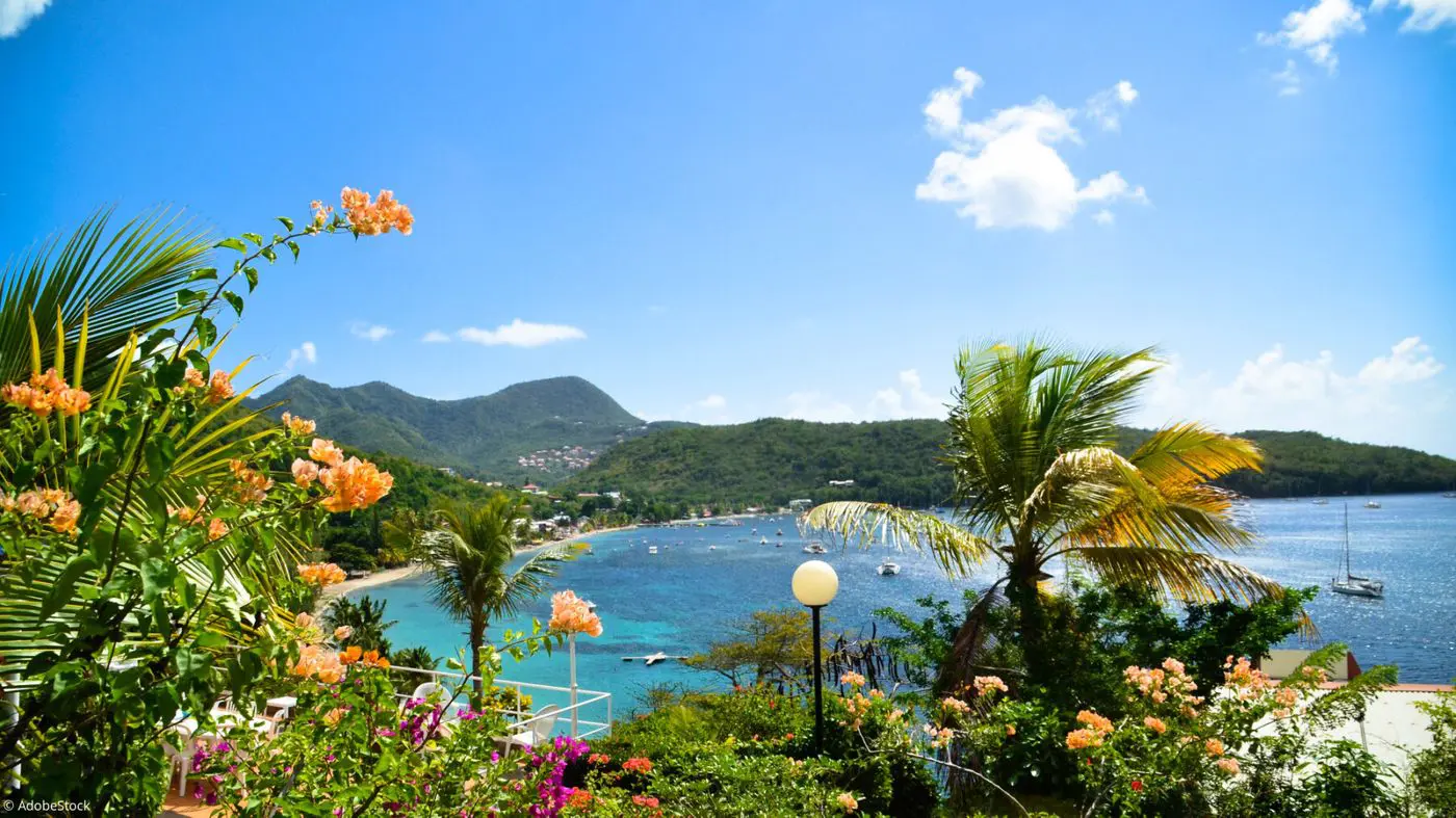 baie tropicale en Martinique avec fleurs oranges, plage et montagnes verdoyantes