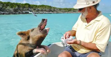 Les lieux à voir aux Bahamas
