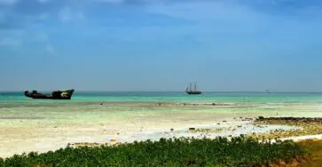 Les essentiels à voir à Aruba