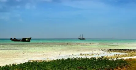 Les essentiels à voir à Aruba