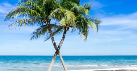 Des plages magnifiques aux Caraïbes