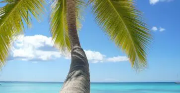Le joyau des Caraïbes