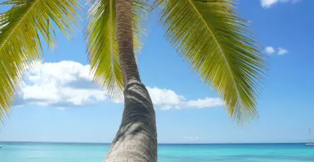 Le joyau des Caraïbes
