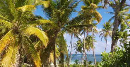 Organiser son voyage dans les Antilles