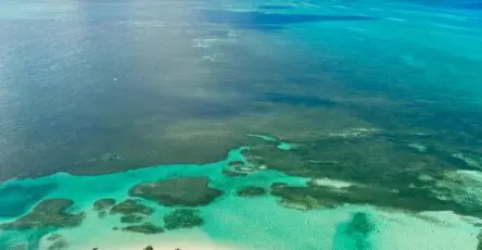 Voyage aux Bahamas