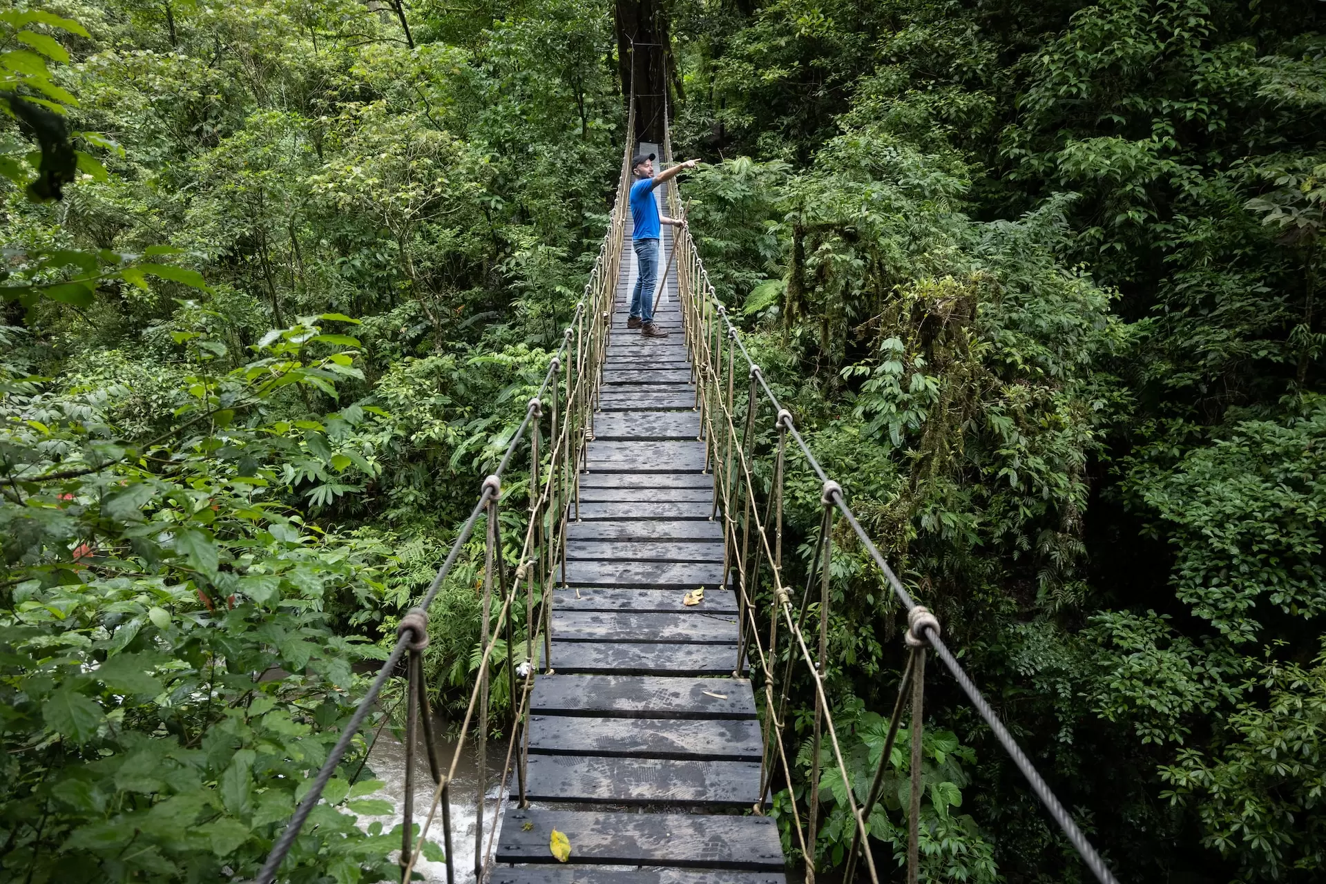 Tout sur l'écotourisme