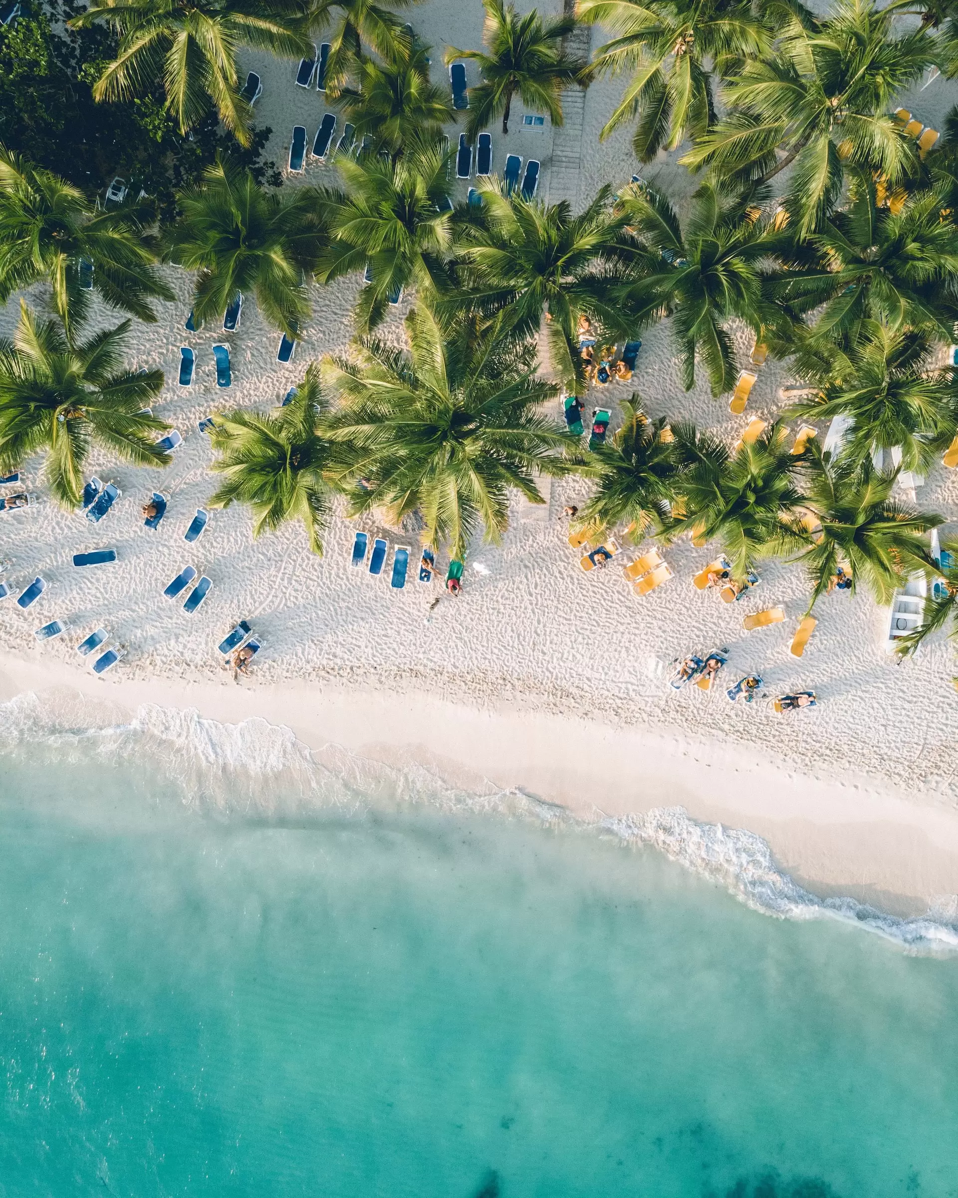 Découvrir la République dominicaine