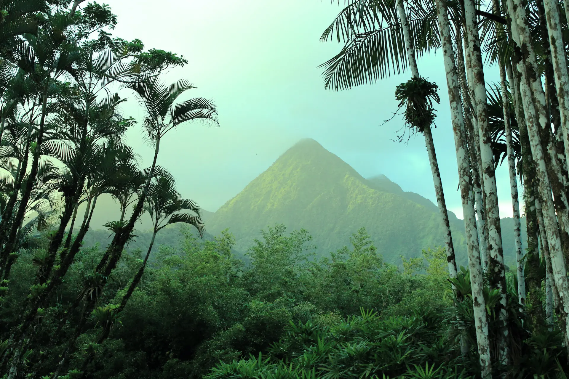 Voyager en Martinique