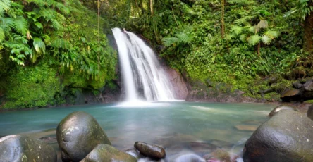 Cascade Guadeloupe