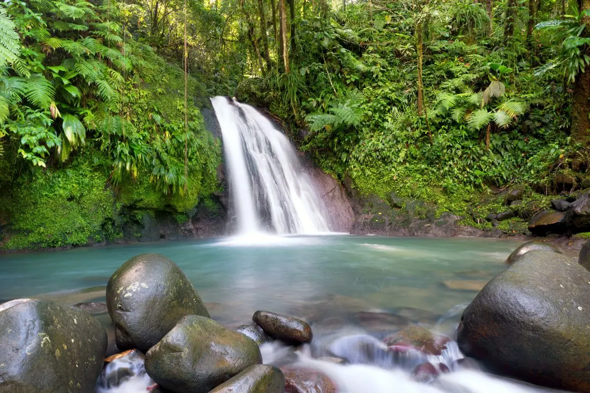 Cascade Guadeloupe