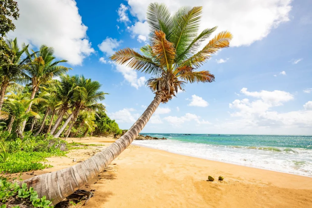 Flamenco Beach