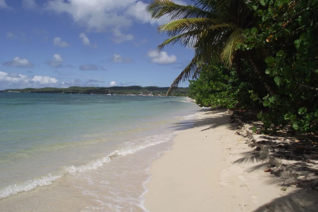 Grande Anse à Marie-Galante