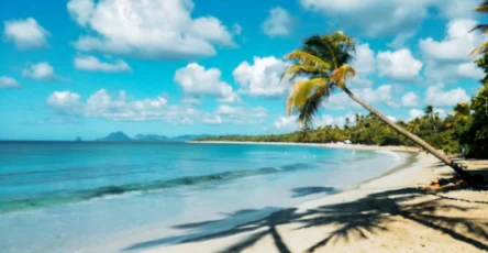 Plage Martinique