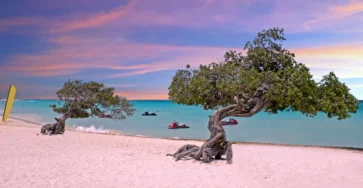 Plage Aruba