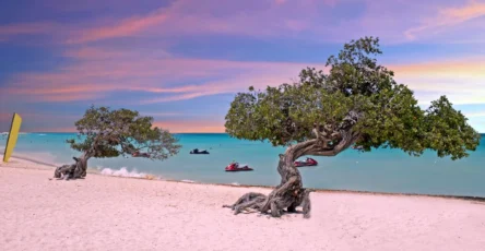 Plage Aruba