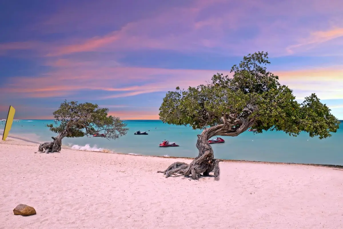 Plage Aruba