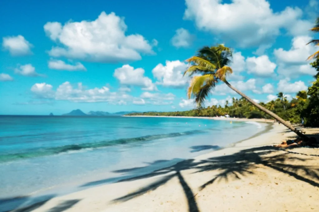 Plage Martinique