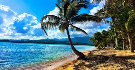 Porto Rico
