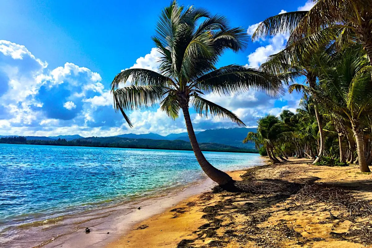 Porto Rico