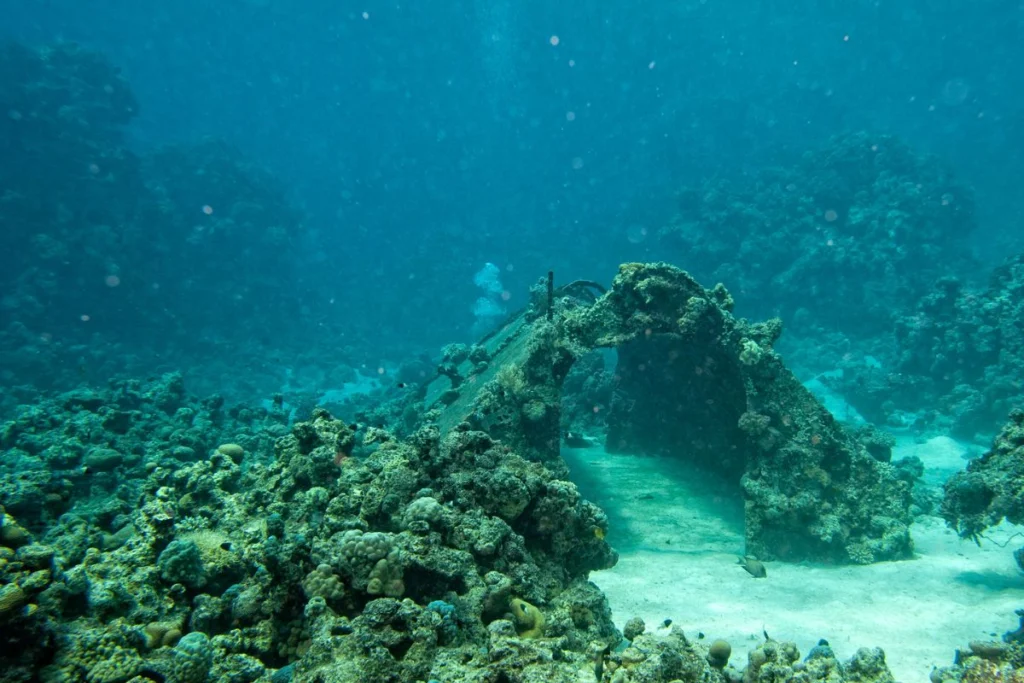 Réserve Cousteau