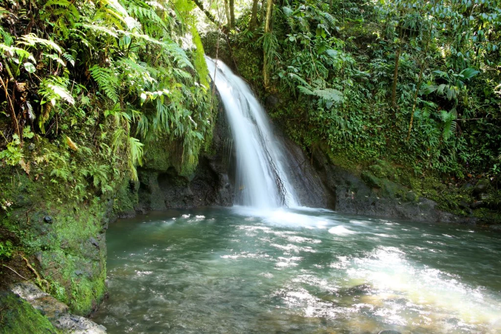 cascade des Écrevisses
