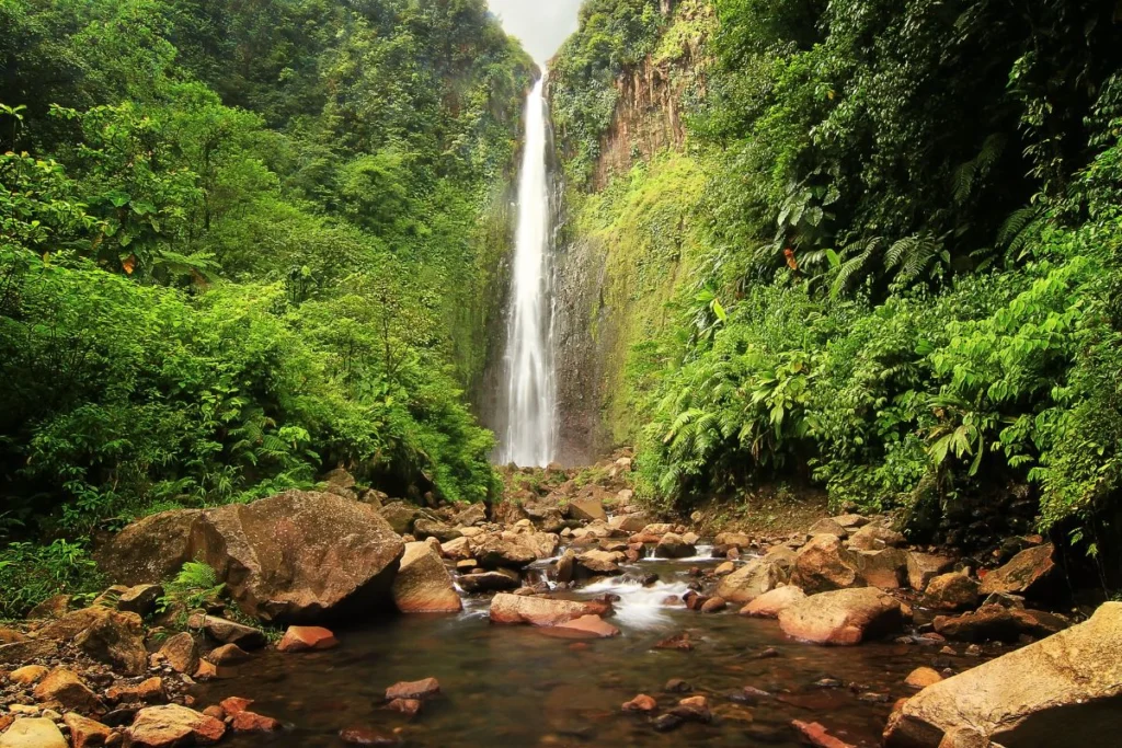 cascades du Carbet