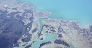 Vue aérienne d’île tropicale pour comparer Guadeloupe et Martinique