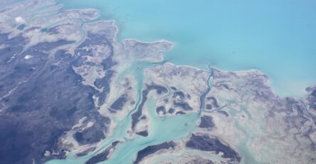 Vue aérienne d’île tropicale pour comparer Guadeloupe et Martinique
