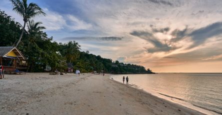 people walking on a beach