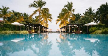 green palm trees near swimming pool during daytime