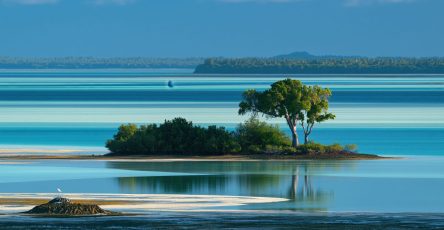 Fonds blancs et îlets du François en Martinique