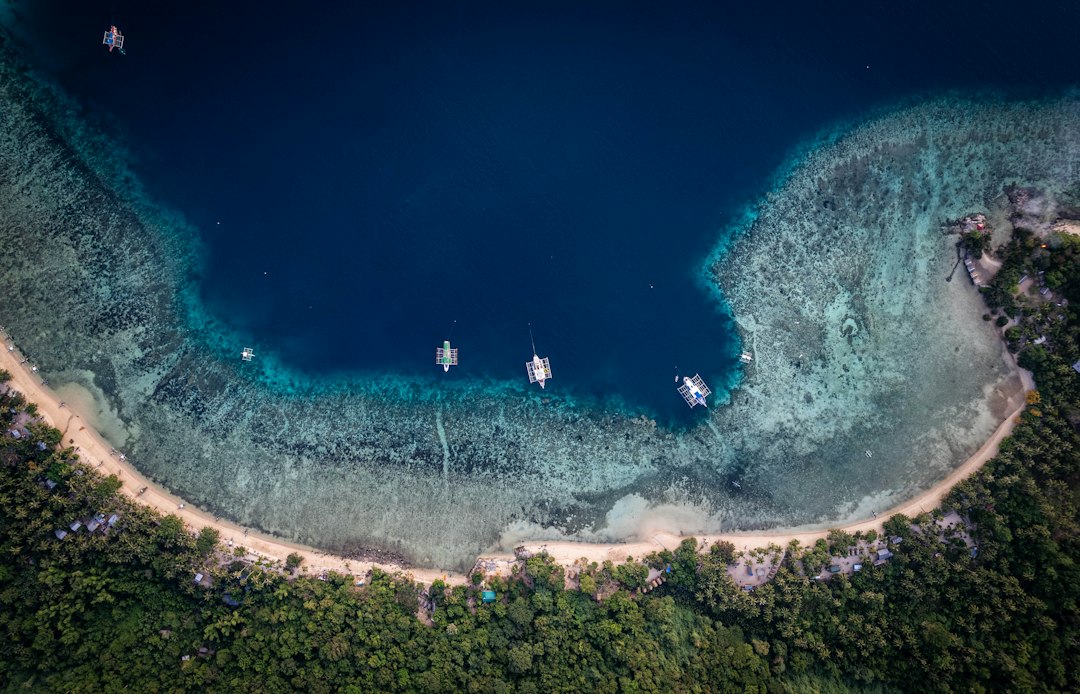Aerial view of boats anchored in a tropical bay